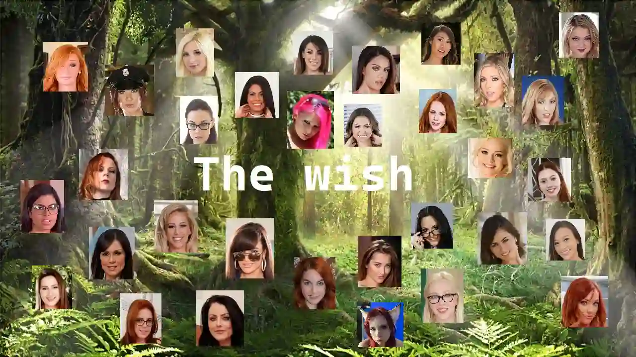 【欧美真人/RPG/后宫】心愿The Wish0.45外挂精翻汉化版/The Wish【14.1G】-造梦少女游戏造梦少女游戏网