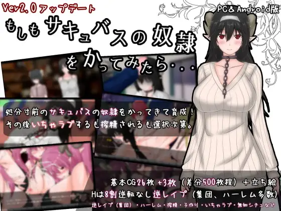 [日式RPG/新汉化] 如果试着买下魅魔奴隶 もしもサキュバスの奴○をかってみたら Ver2.2 PC+安卓 AI汉化版-造梦少女游戏造梦少女游戏网