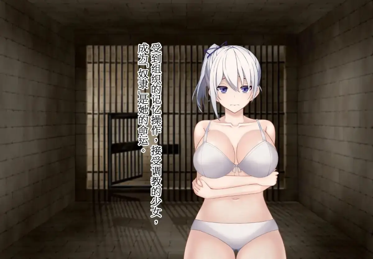 图片[2]-造梦少女游戏调教师与终将成为奴隶的少女 調教師と奴隷になる少女官中-造梦少女游戏造梦少女游戏网