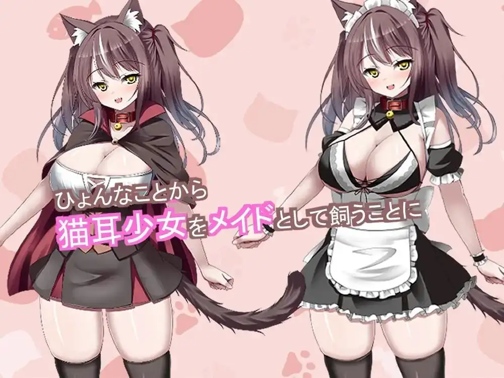 开始饲养猫耳女仆小豆动态剧情与甜蜜生活画面
