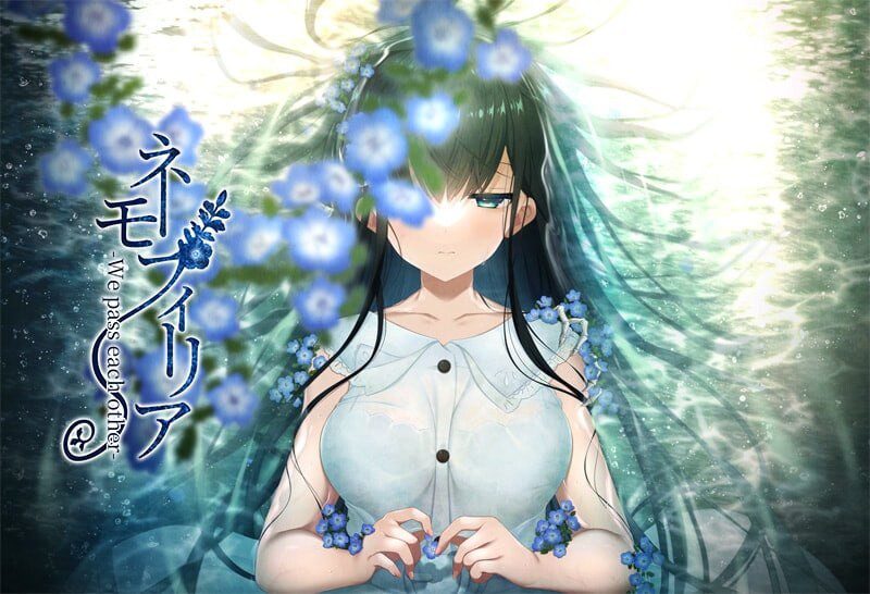 [ADV/CV]喜林草 -我们擦肩而过-ネモフィリア -We pass each other- v1.30汉化+存档1.5G-造梦少女游戏造梦少女游戏网