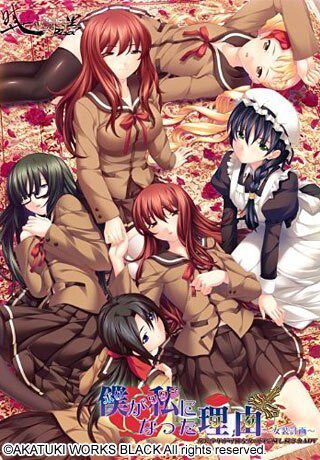 [ADV]我变成她的理由～女装计划 僕が私になった理由 ～女装計画 v1.01汉化+全CG存档2G-造梦少女游戏造梦少女游戏网