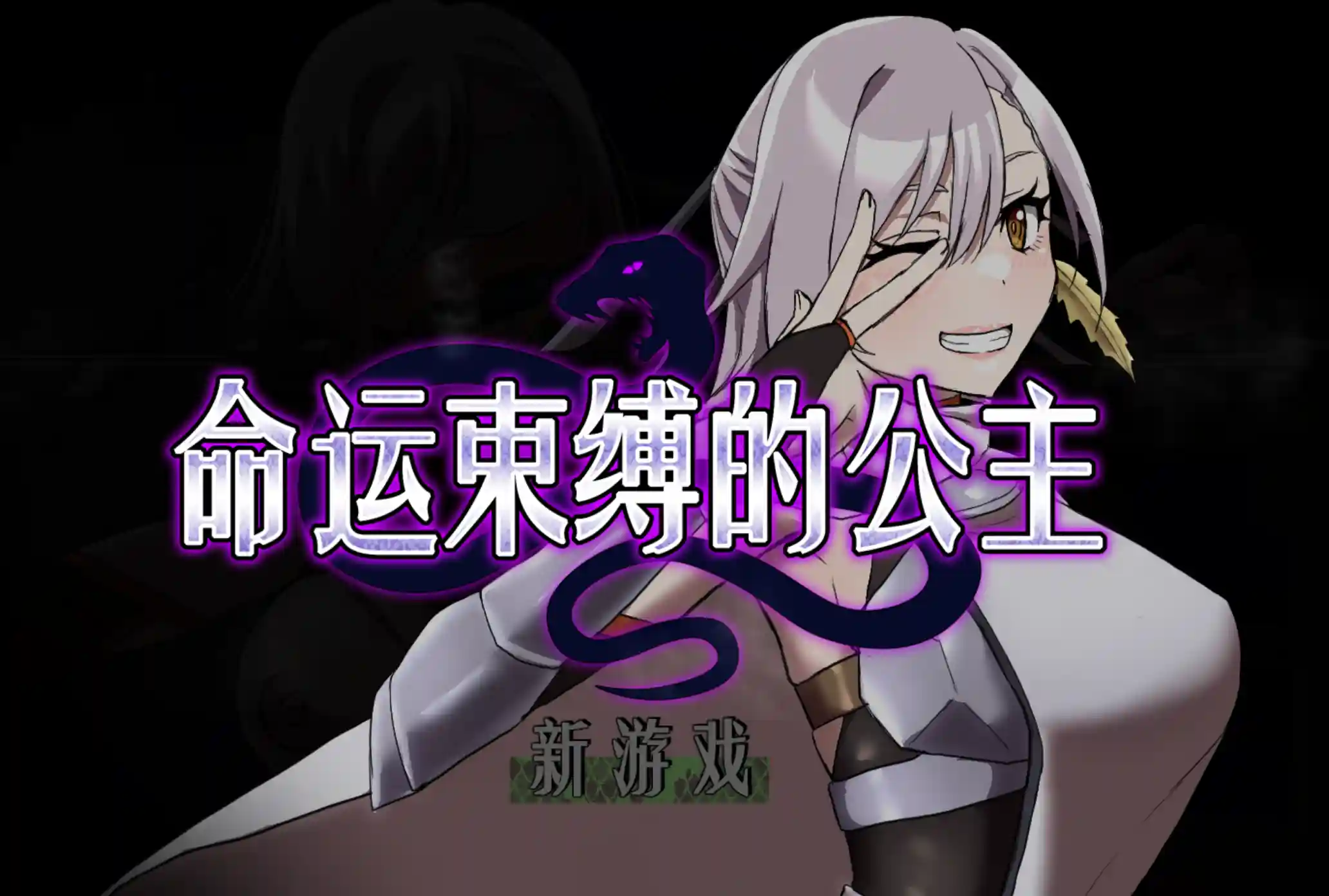 [RPG]命运束缚的公主 Bound by Destiny 運命に縛られた姫 v1.05官中步兵PC+安卓+作弊码1G-造梦少女游戏造梦少女游戏网