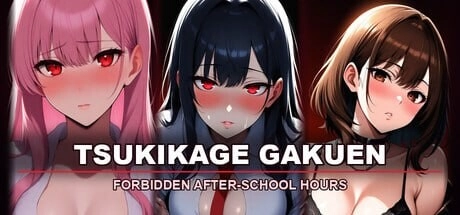 [SLG]月影学园～禁忌的课后时光 Tsukikage Gakuen ~Forbidden After-School Hours官中步兵1G-造梦少女游戏造梦少女游戏网