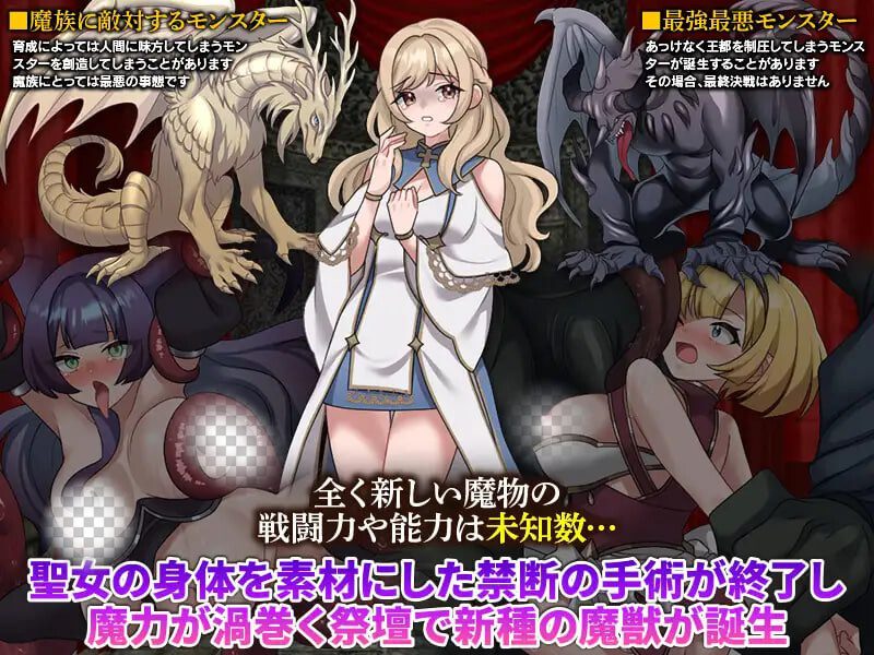 [RPG]异种X受孕模拟王都侵攻作战 異種姦受胎シミュレーション 王都侵攻作戦汉化PC+安卓+作弊码 1G-造梦少女游戏造梦少女游戏网